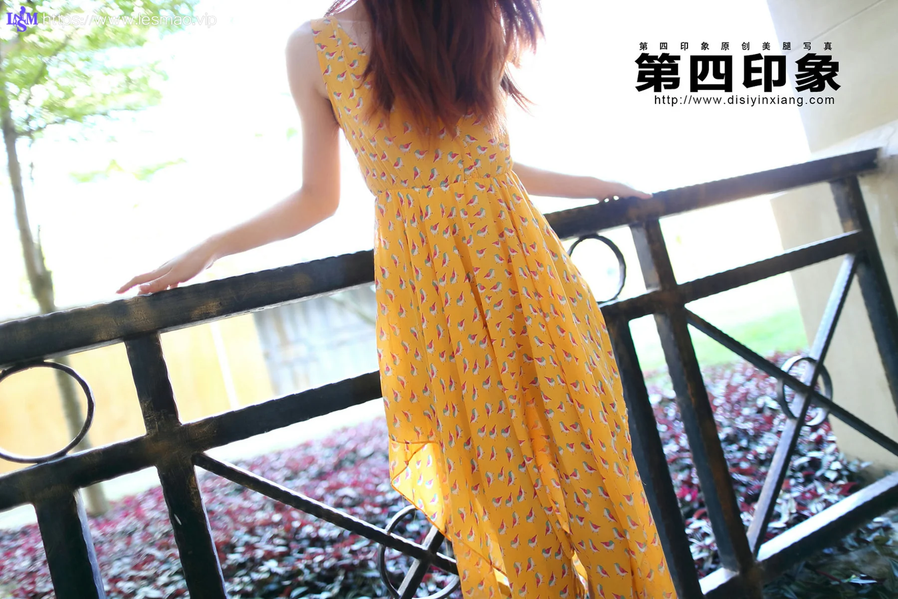 Disi 第四印象 No.394 - 1