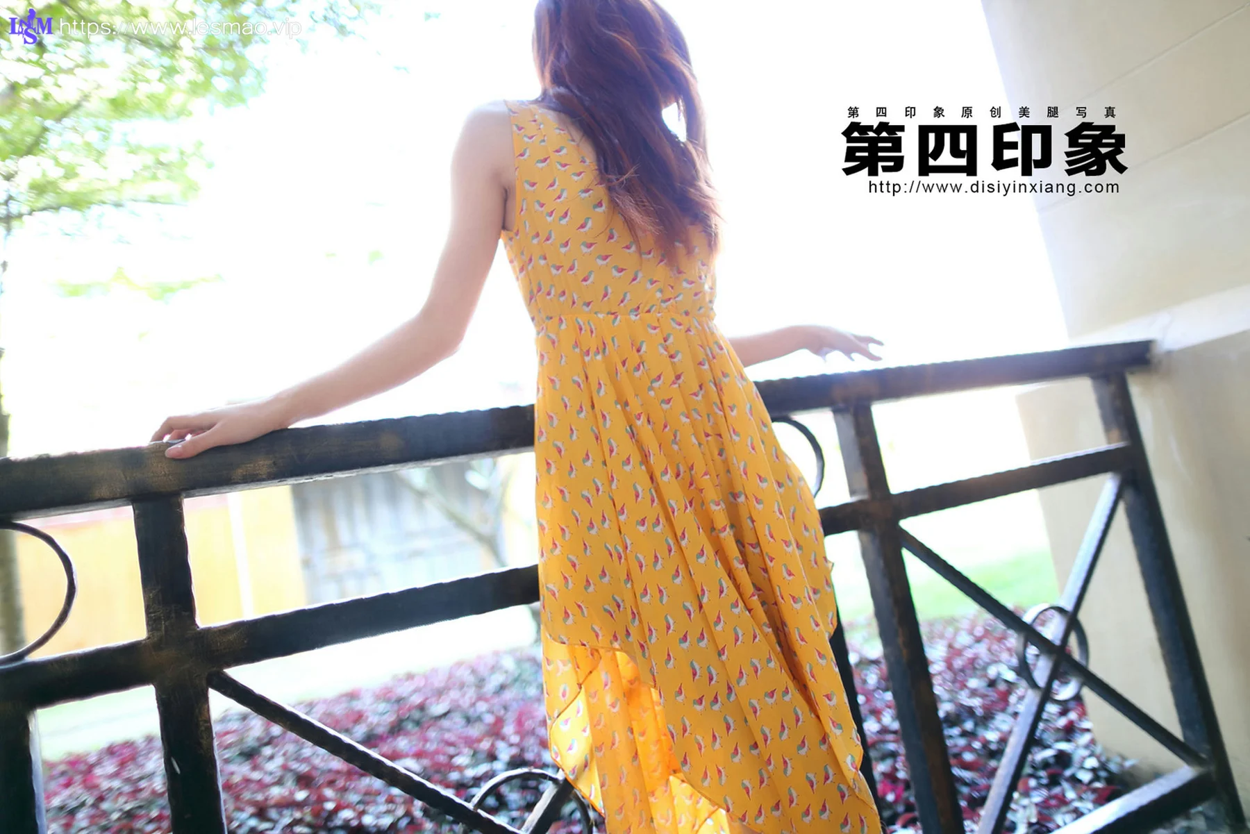 Disi 第四印象 No.394 - 2