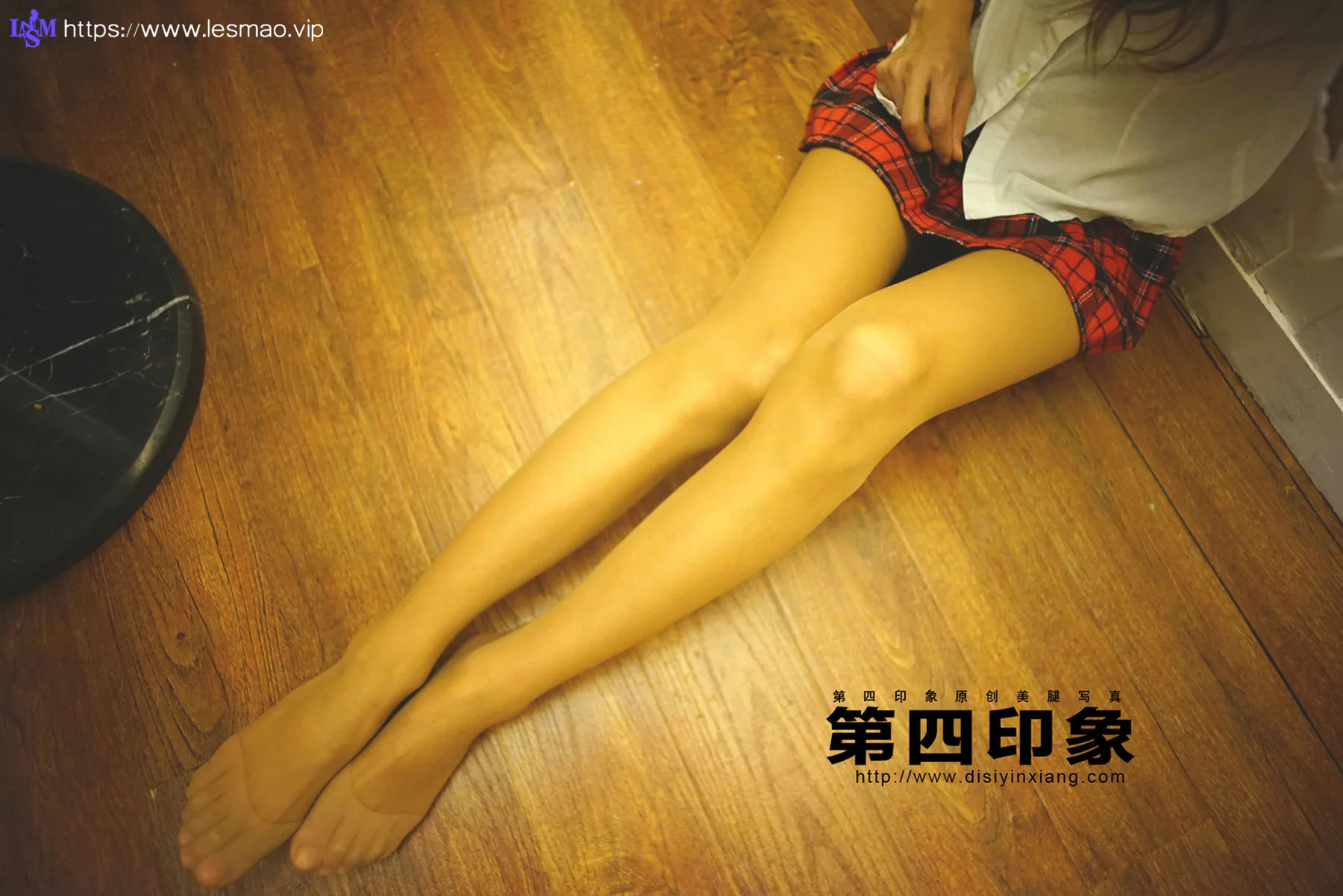 Disi 第四印象 No.422 丝袜美腿 - 5
