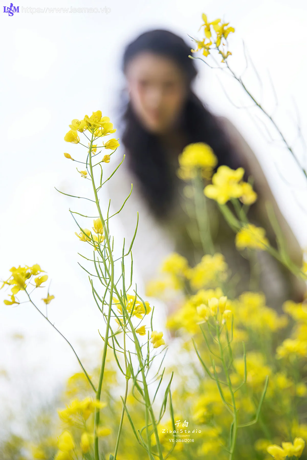 Goddes 头条女神 No.864 油菜花的晴天钟晴 - 4