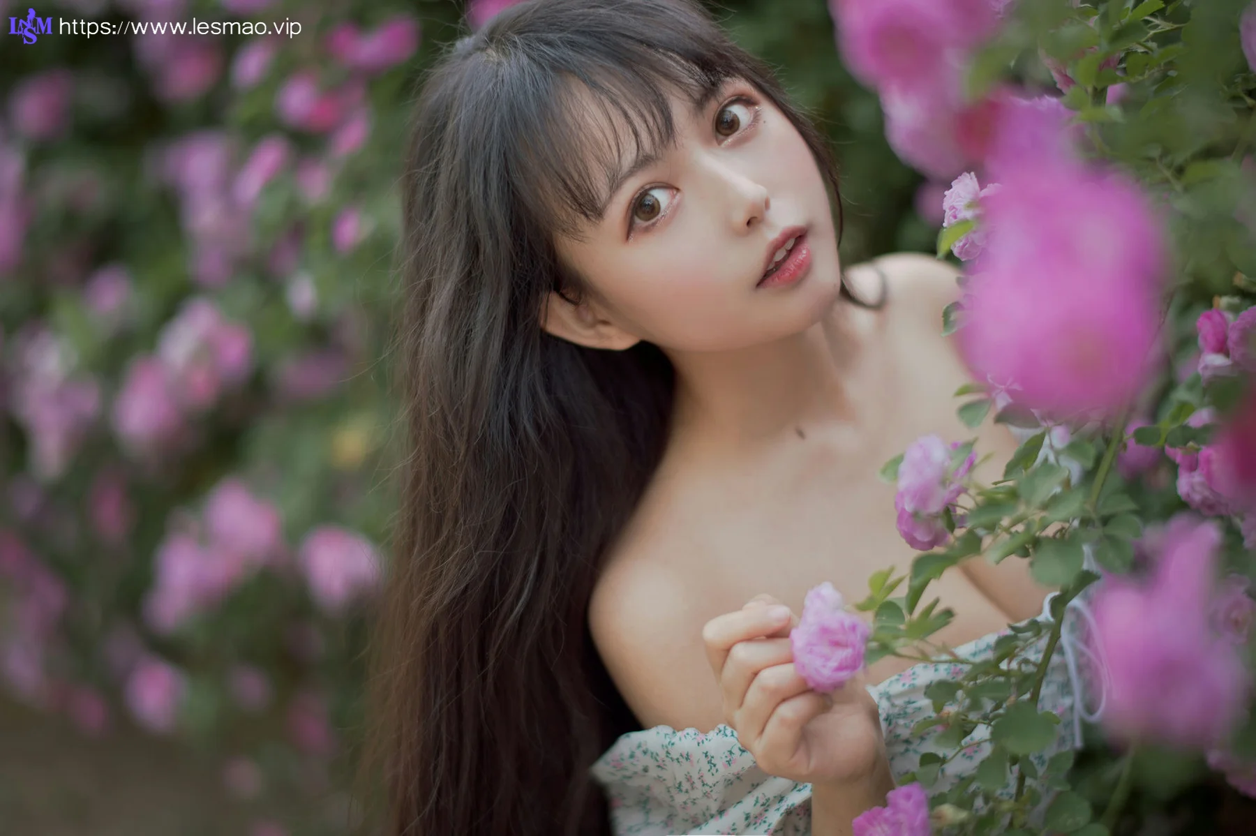 MTYH 喵糖映画 Vol.338  蔷薇少女 - 2