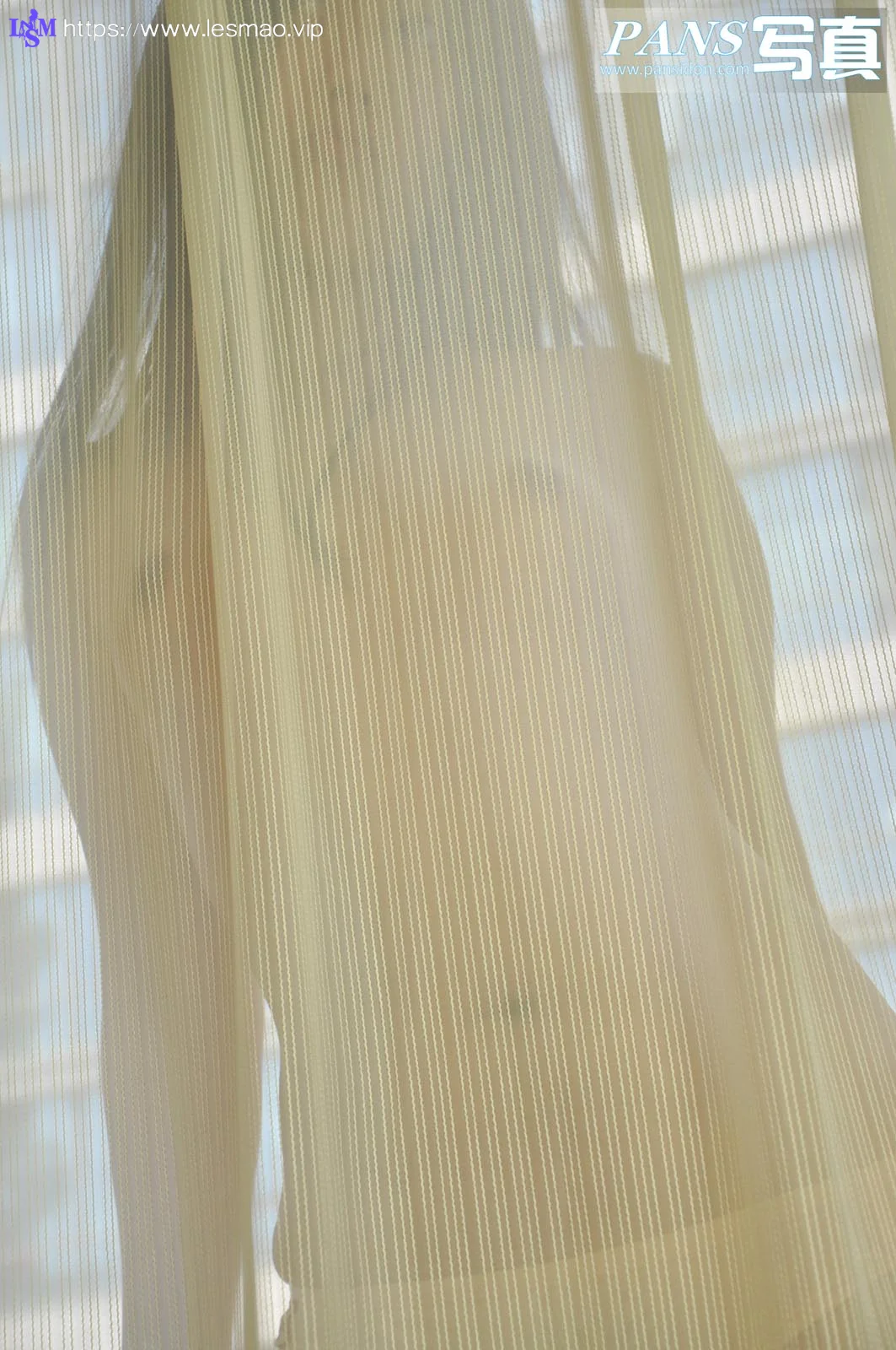 Pans 写真 No.055 31P/133M - 6