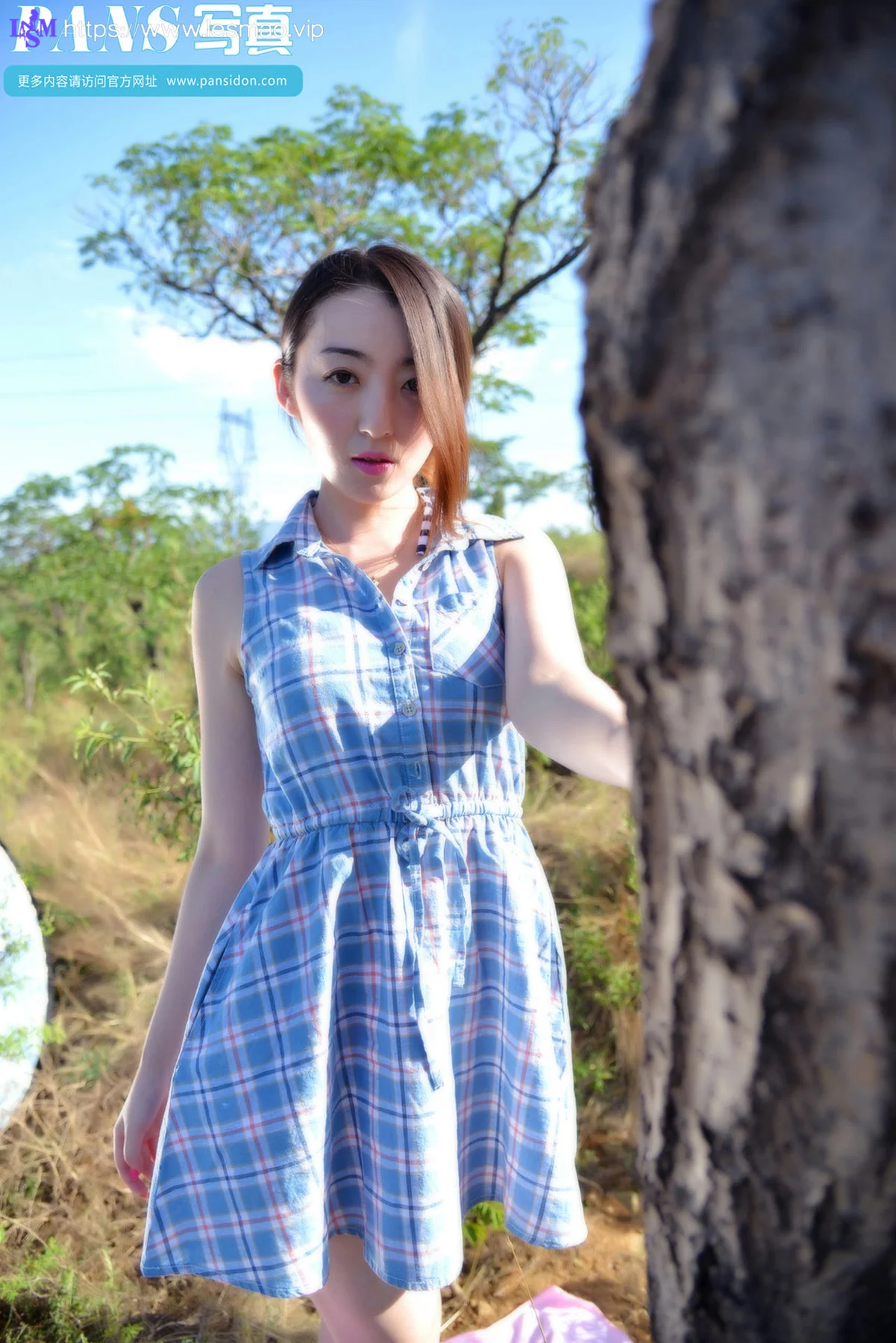 Pans 写真 No.356 紫萱 - 6