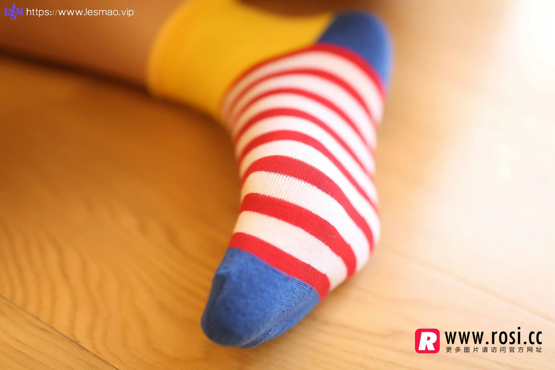 Rosi 写真 No.1072 - 3