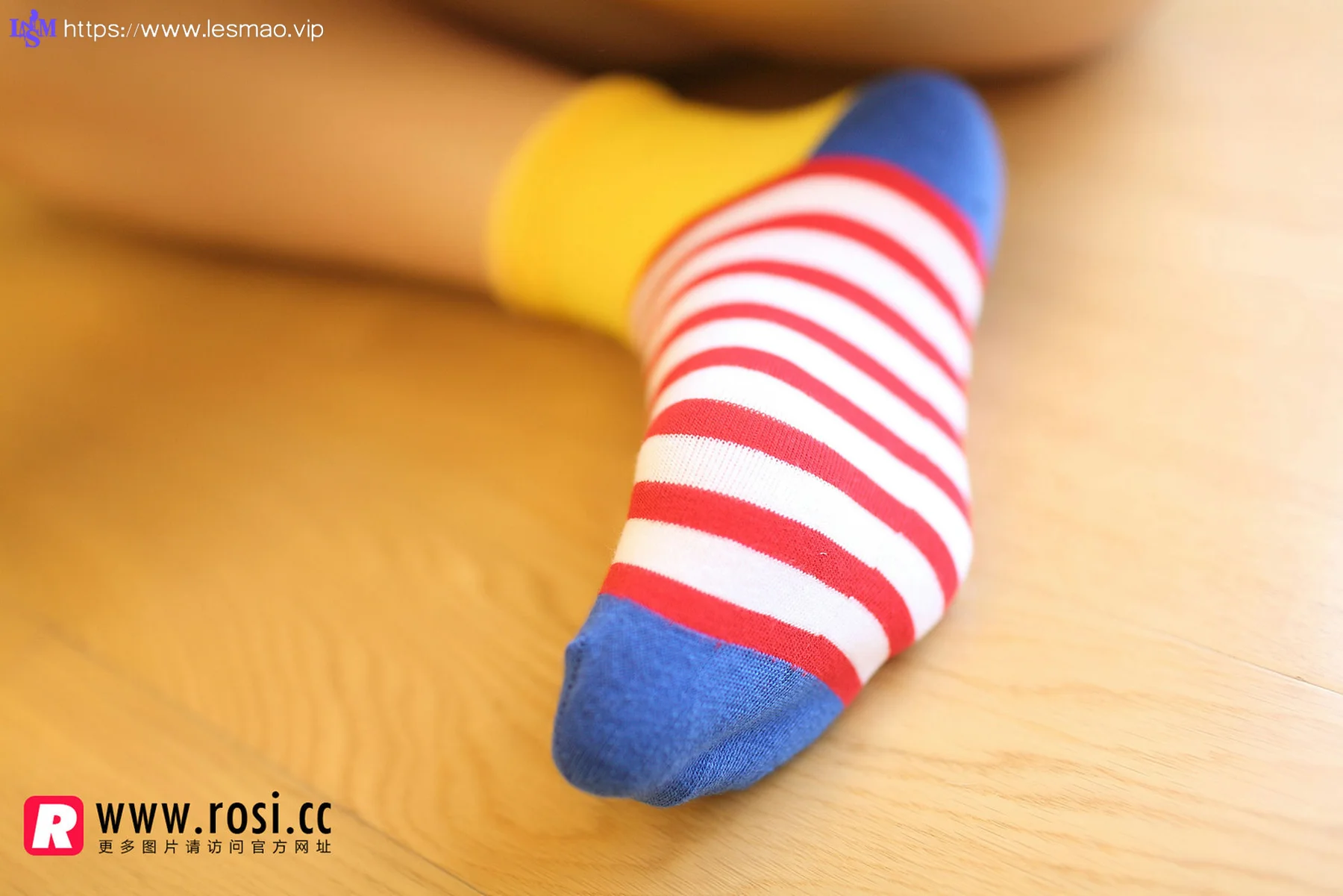 Rosi 写真 No.1072 - 4
