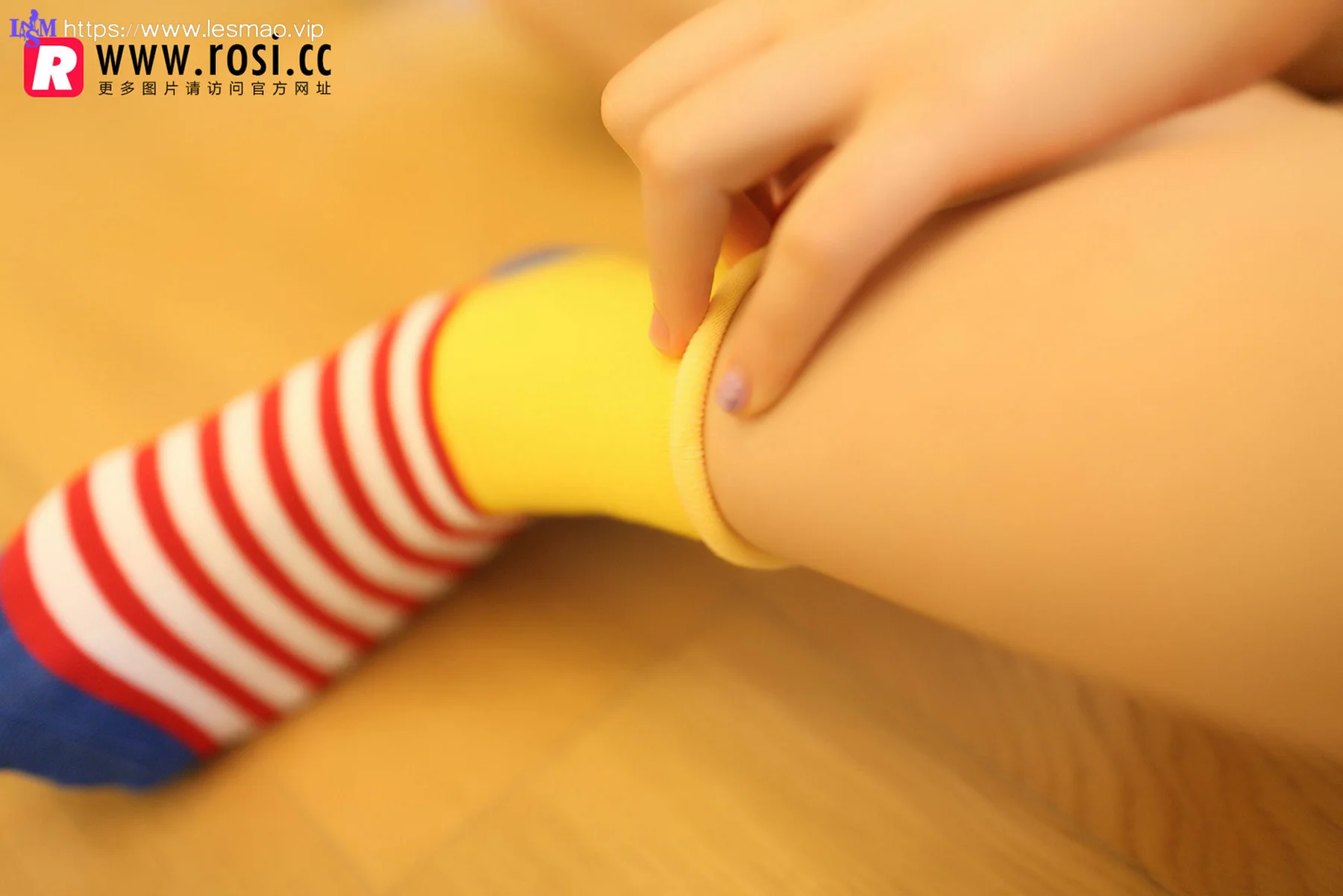 Rosi 写真 No.1072 - 5