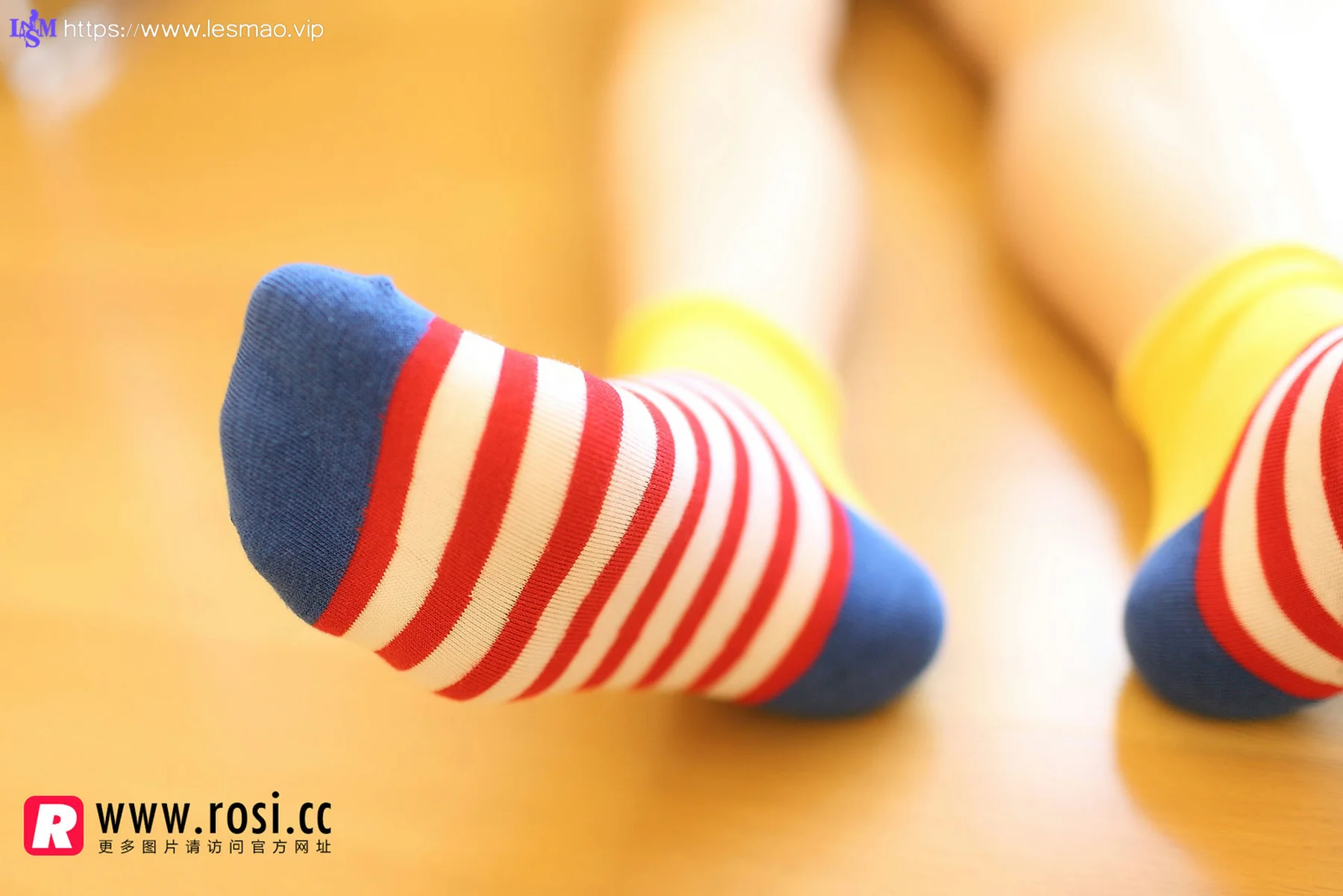Rosi 写真 No.1072 - 10