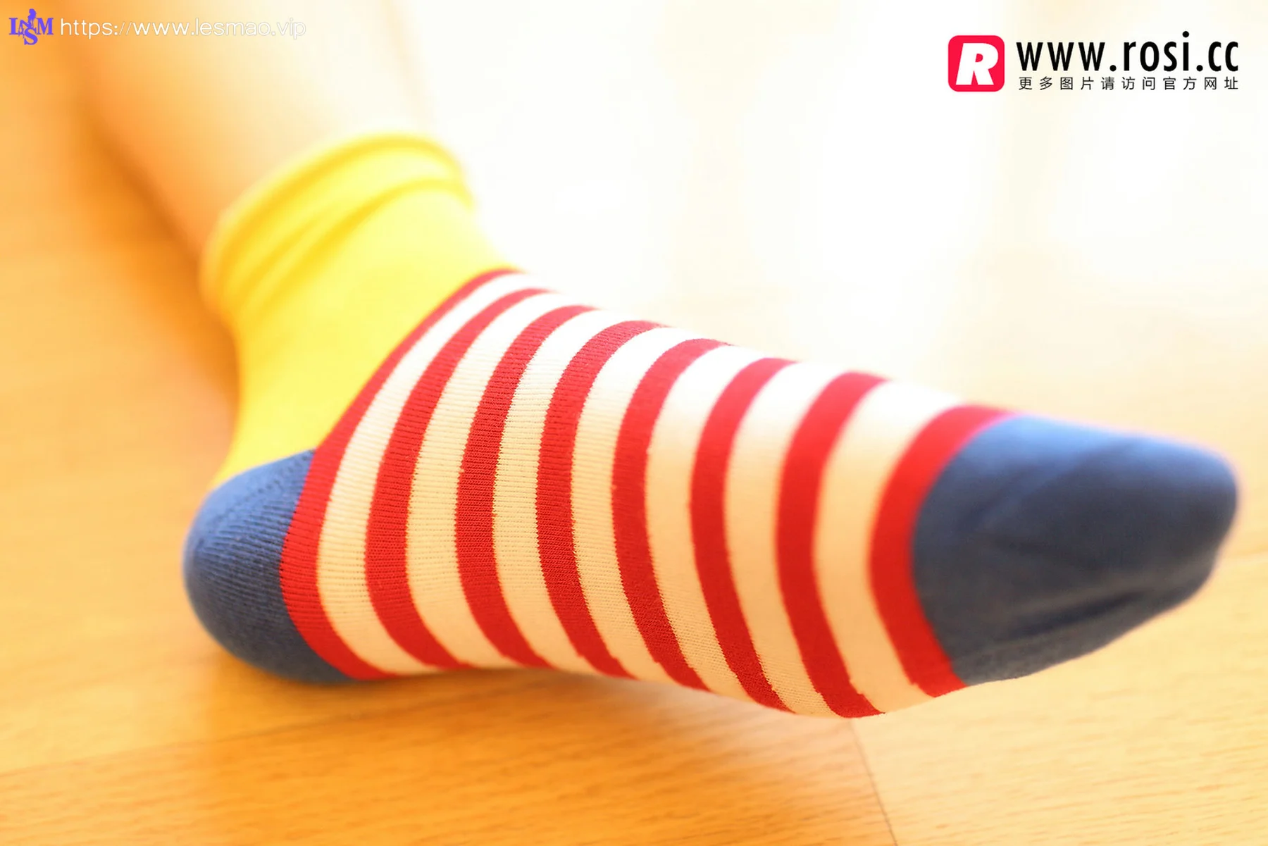Rosi 写真 No.1072 - 2