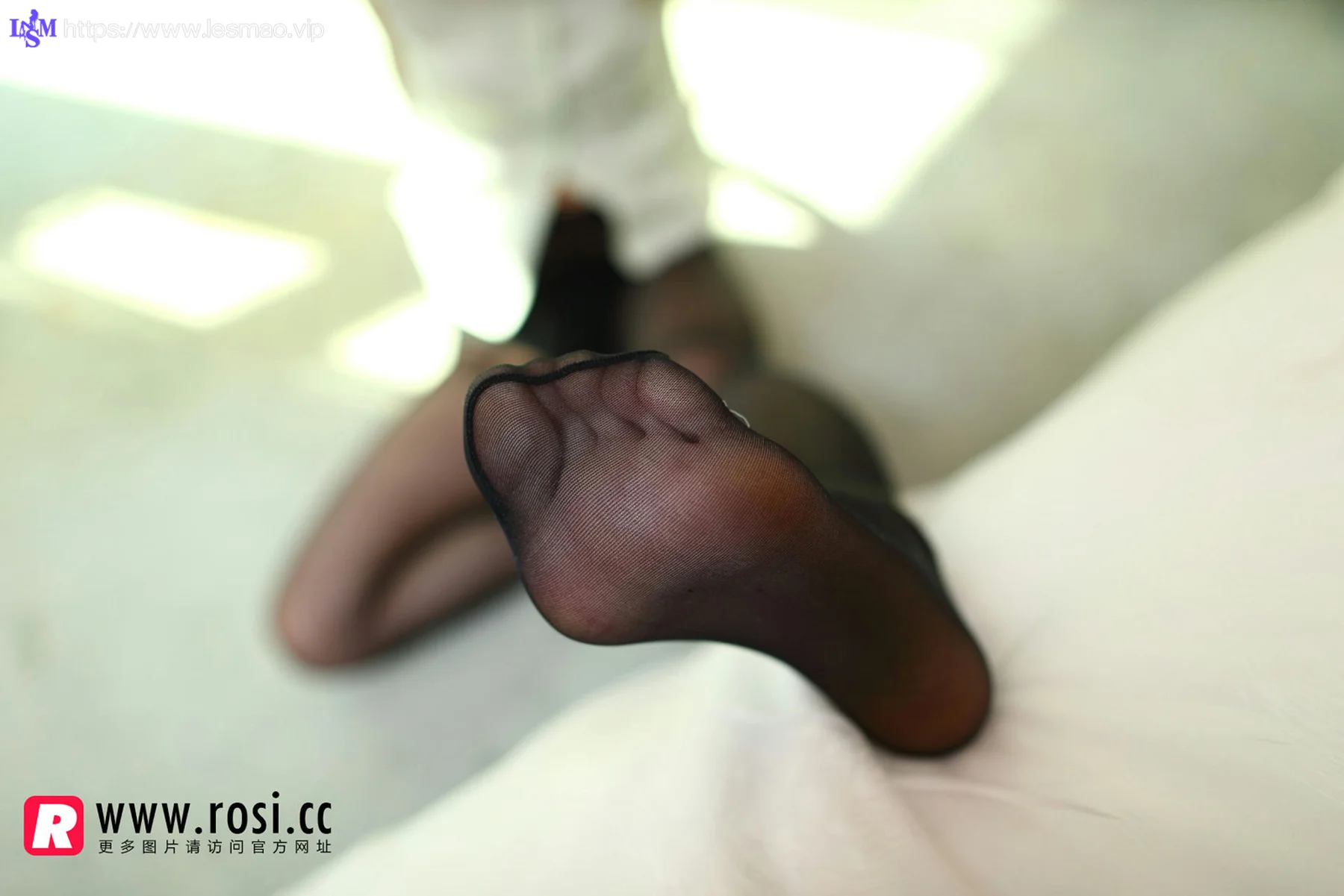 Rosi 写真 No.1095 - 1