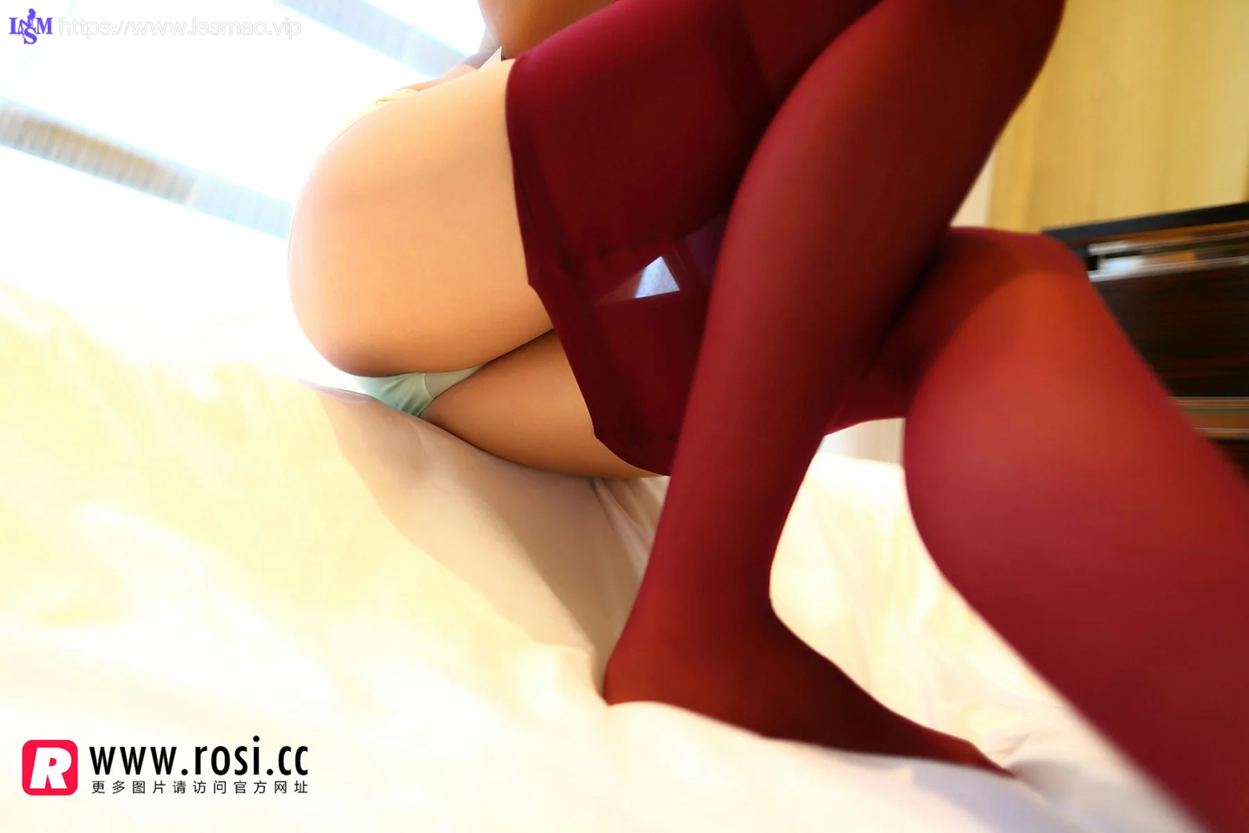 Rosi 写真 No.1145 - 7