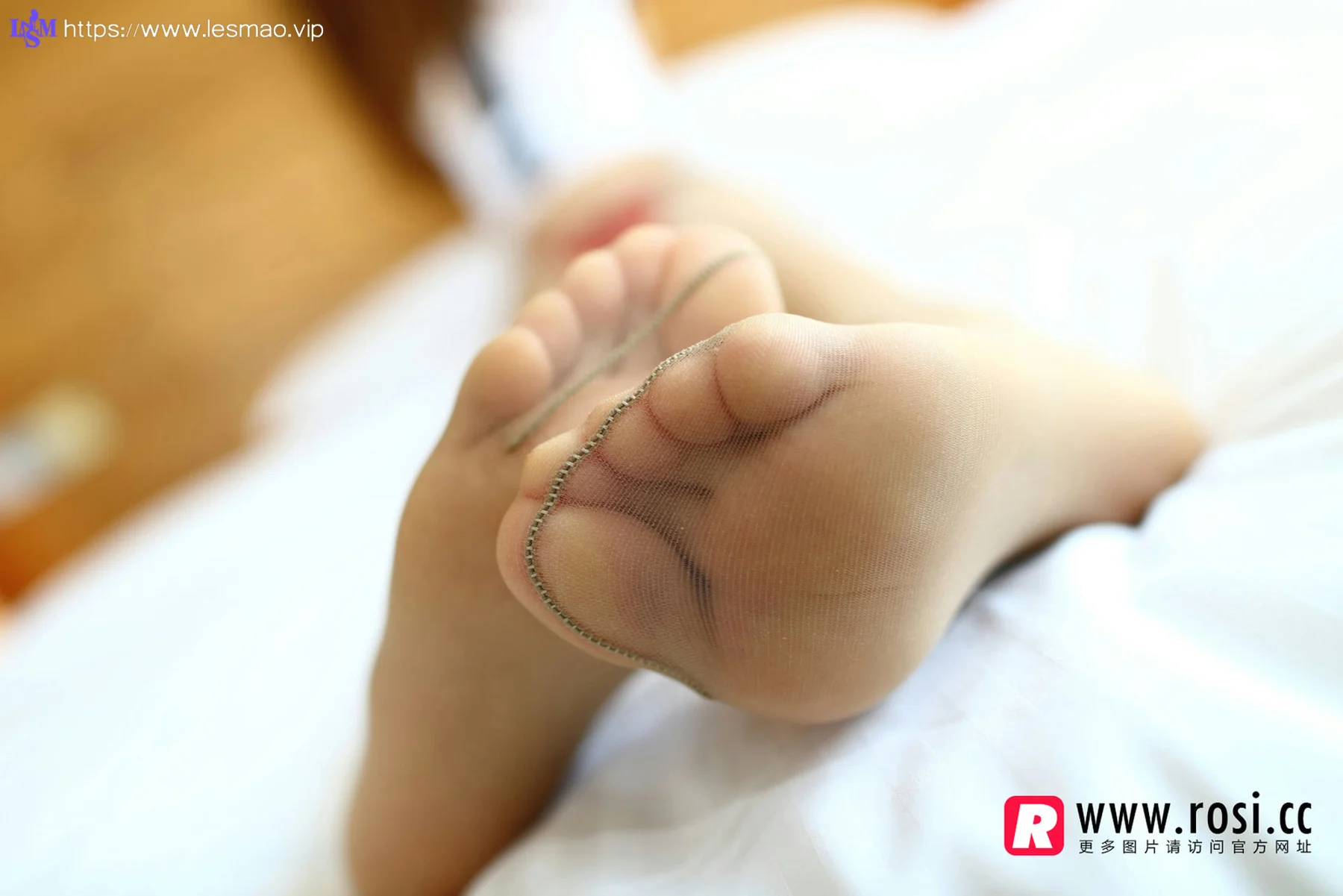 Rosi 写真 No.1164 - 2