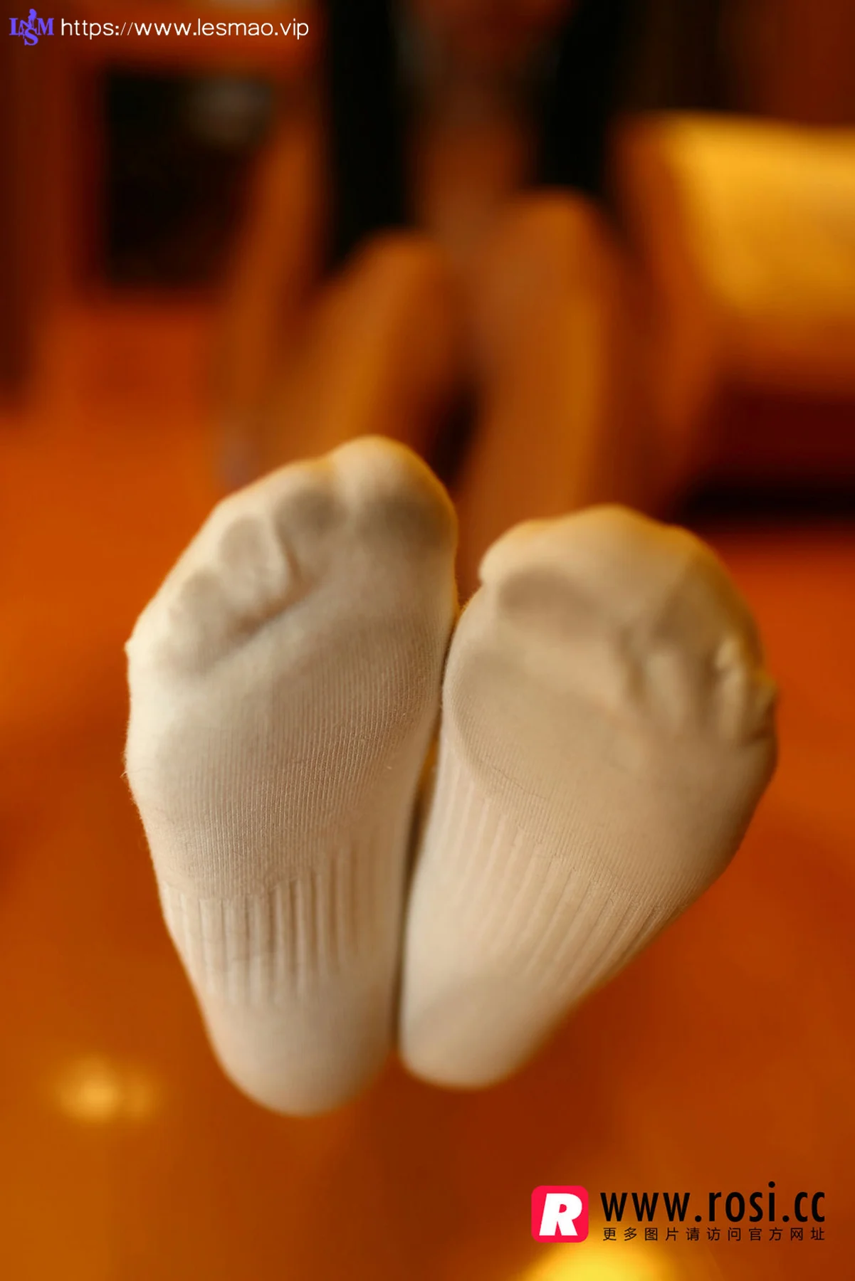 Rosi 写真 No.1233 - 6
