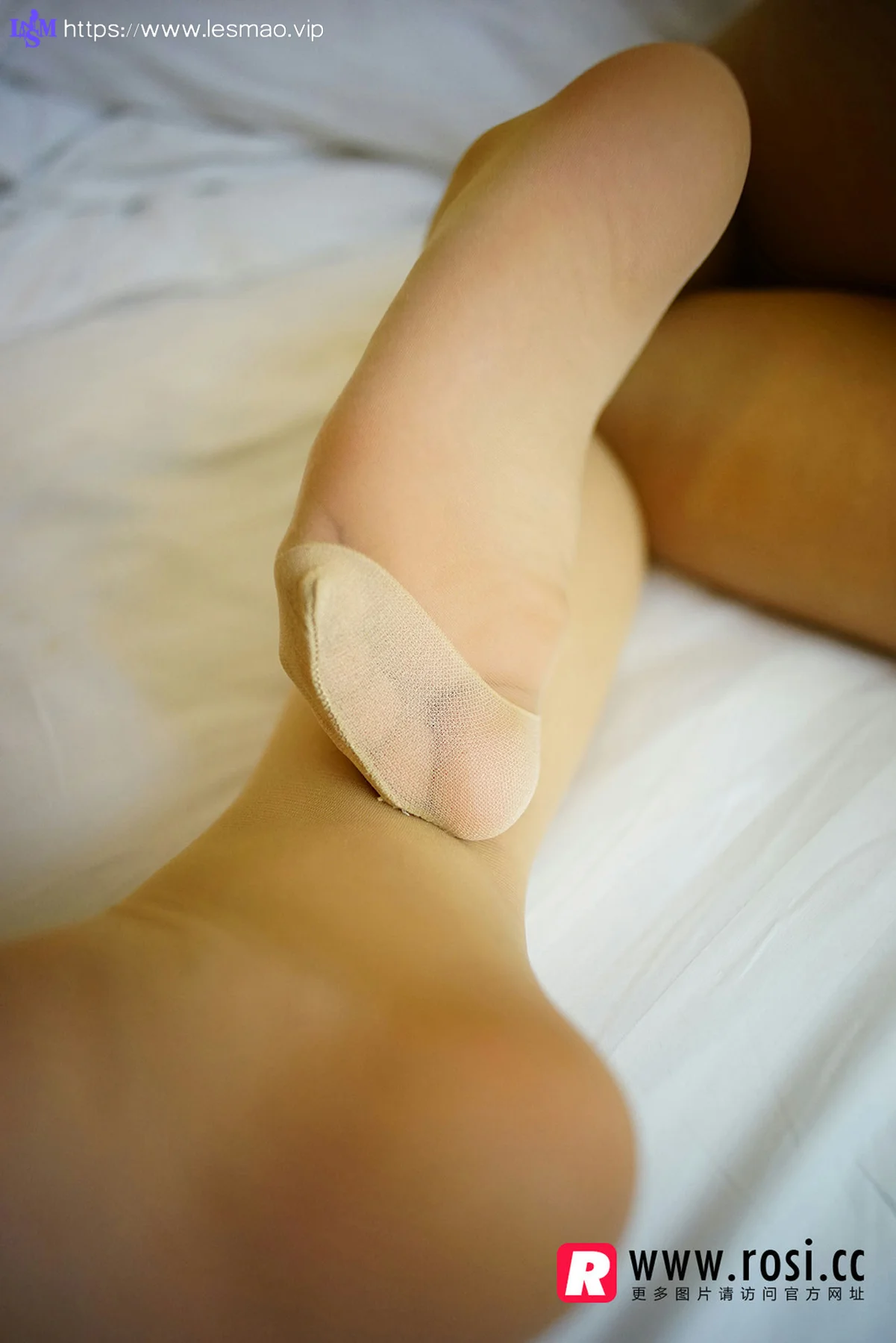Rosi 写真 No.1242 - 5
