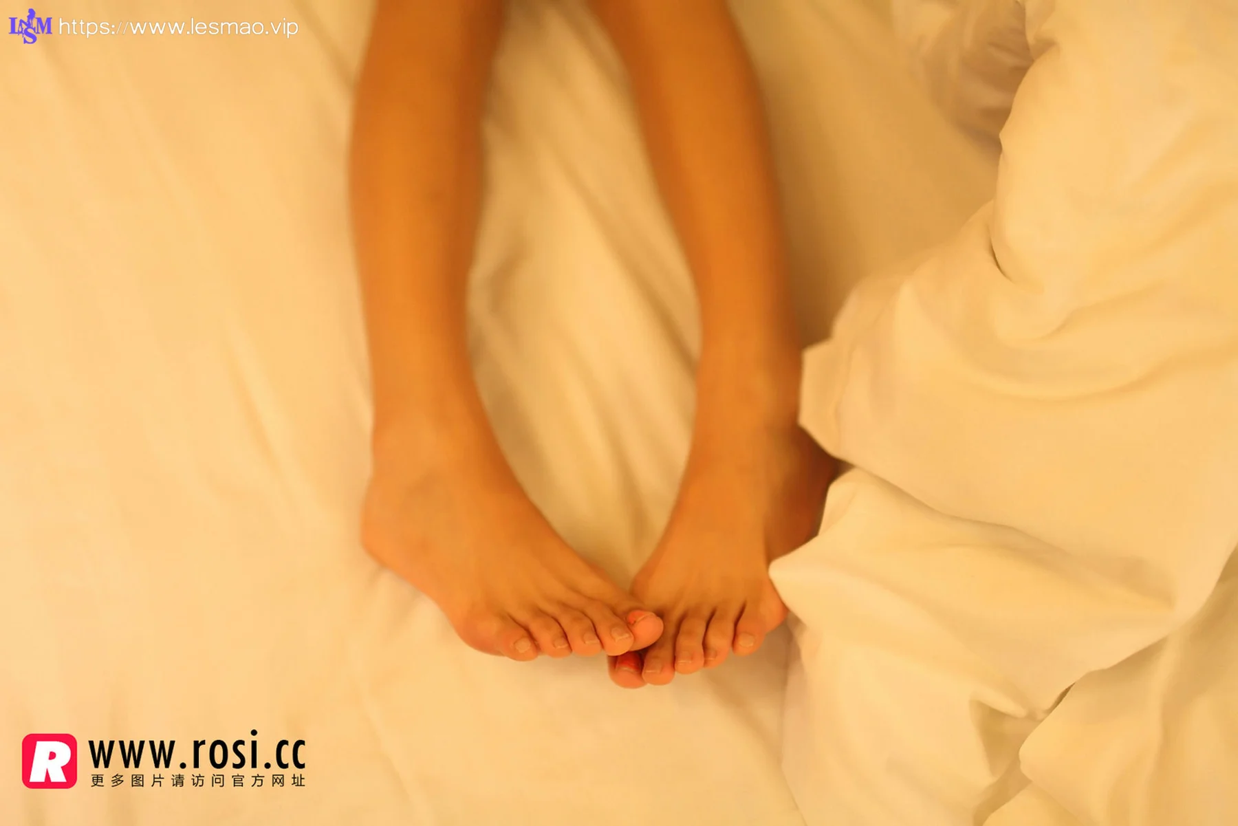 Rosi 写真 No.1272 2015.06.03 - 3