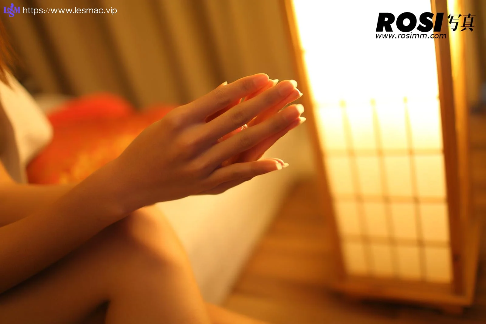 Rosi 写真 No.212 50P/46.13M - 9