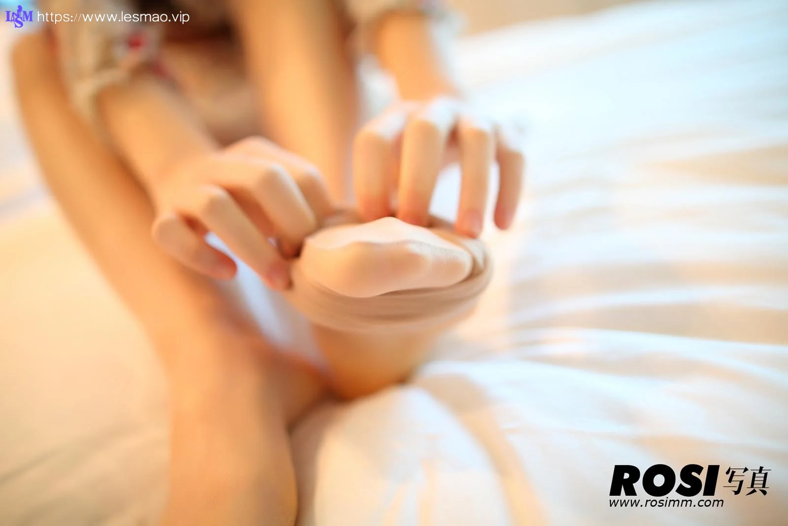 Rosi 写真 No.463 36P/35.27M - 5