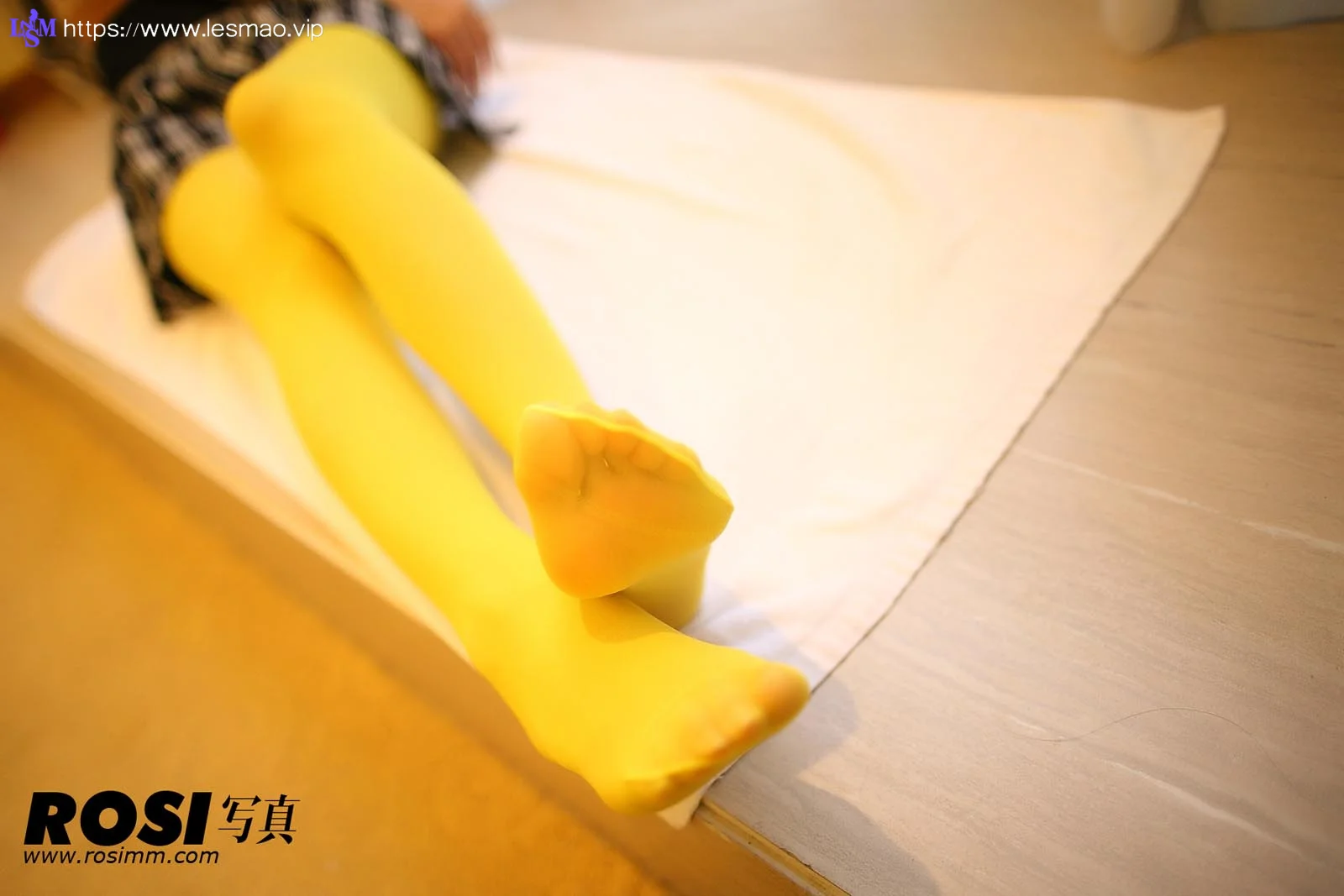Rosi 写真 No.469 22P/23.6M - 5