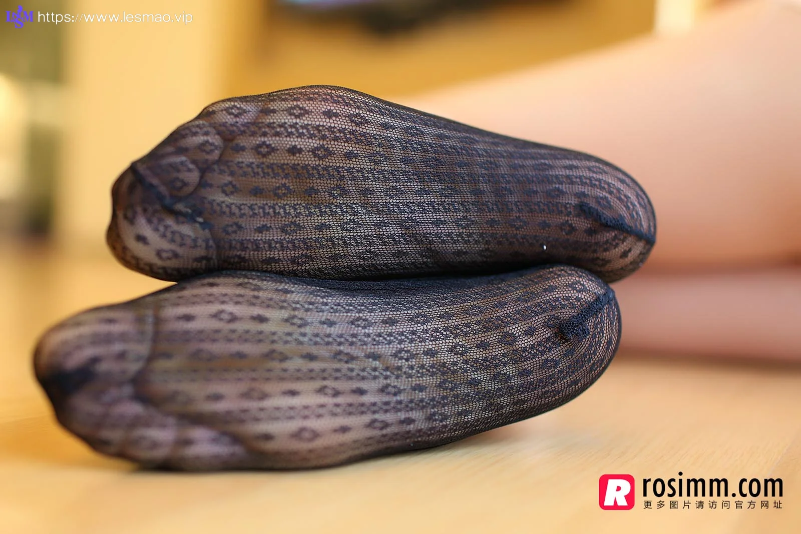 Rosi 写真 No.781 22P/26.9M - 7