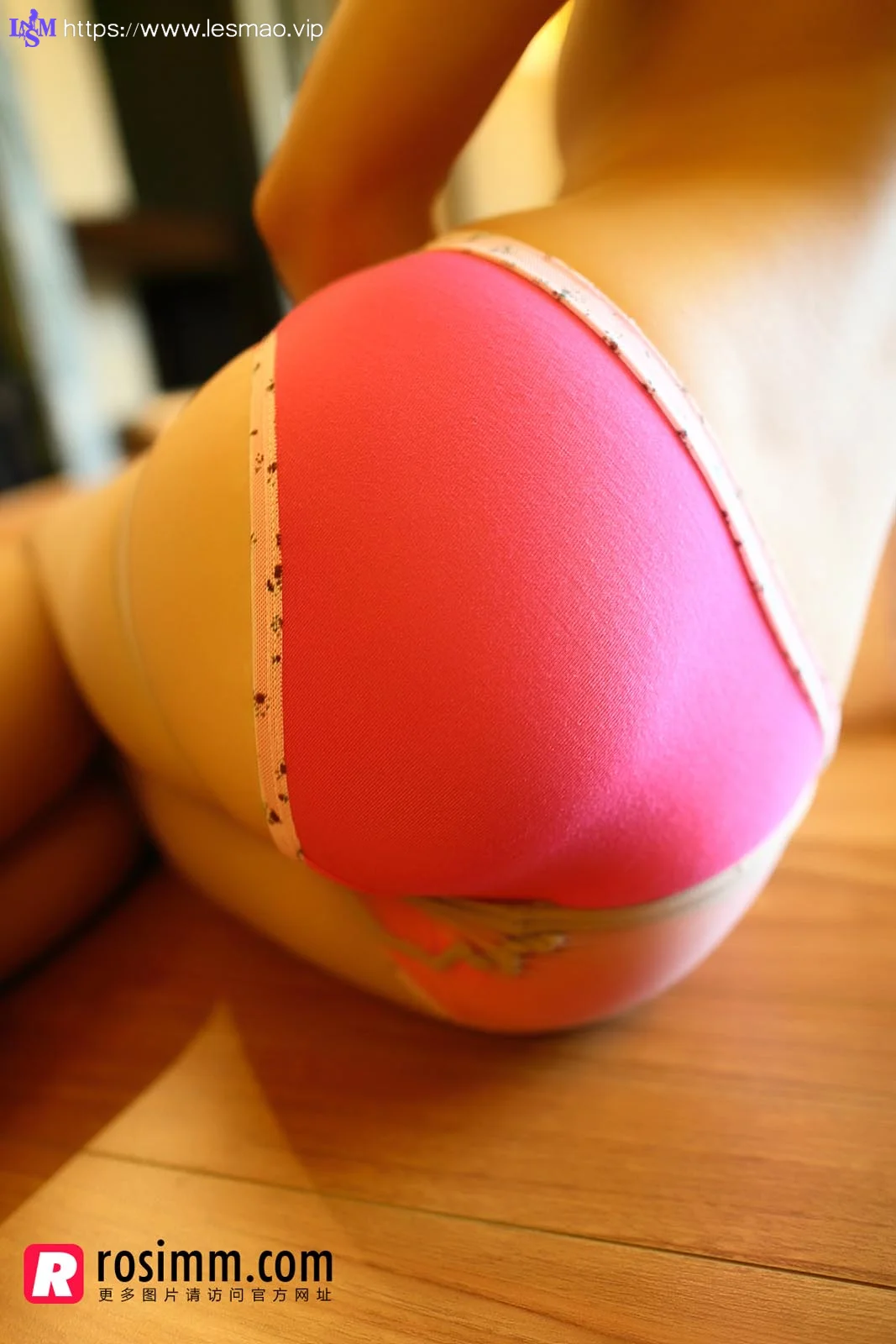Rosi 写真 No.952 31P/30.37M - 7