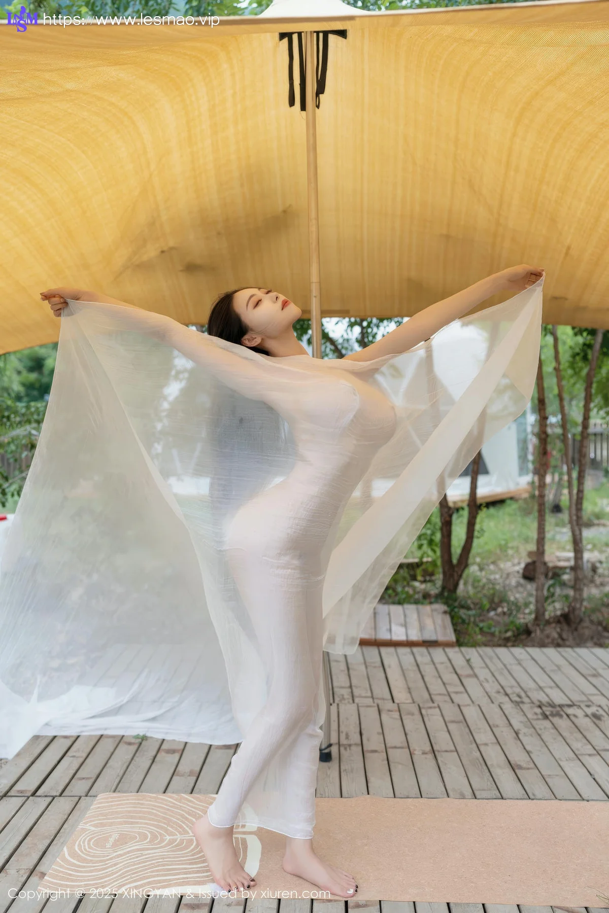 XINGYAN 星颜社 Vol.298 清妙 玉体透视好身材 - 3