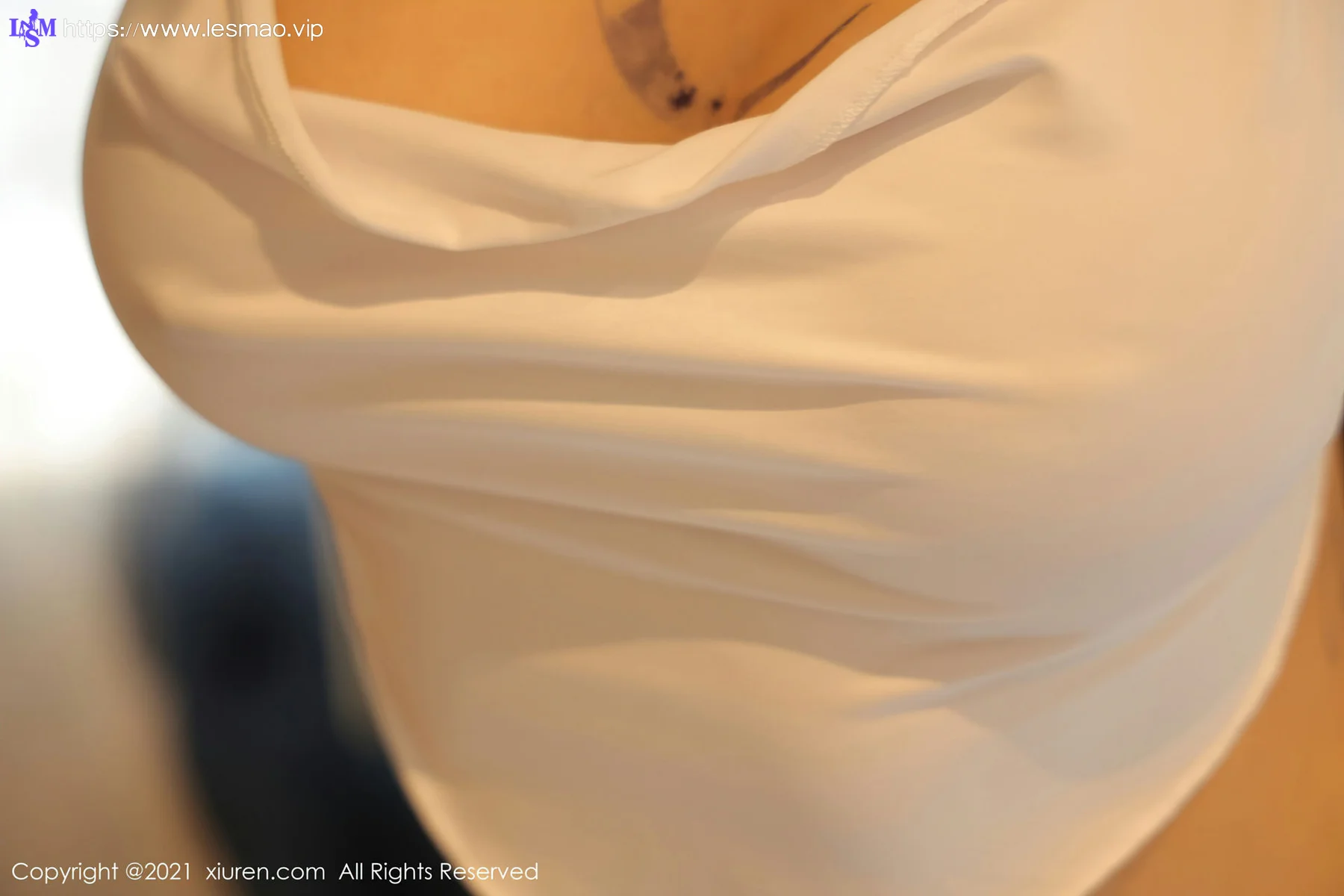 XiuRen 秀人 No.3759 美臀媚态 文静儿 纹身性感写真 - 2