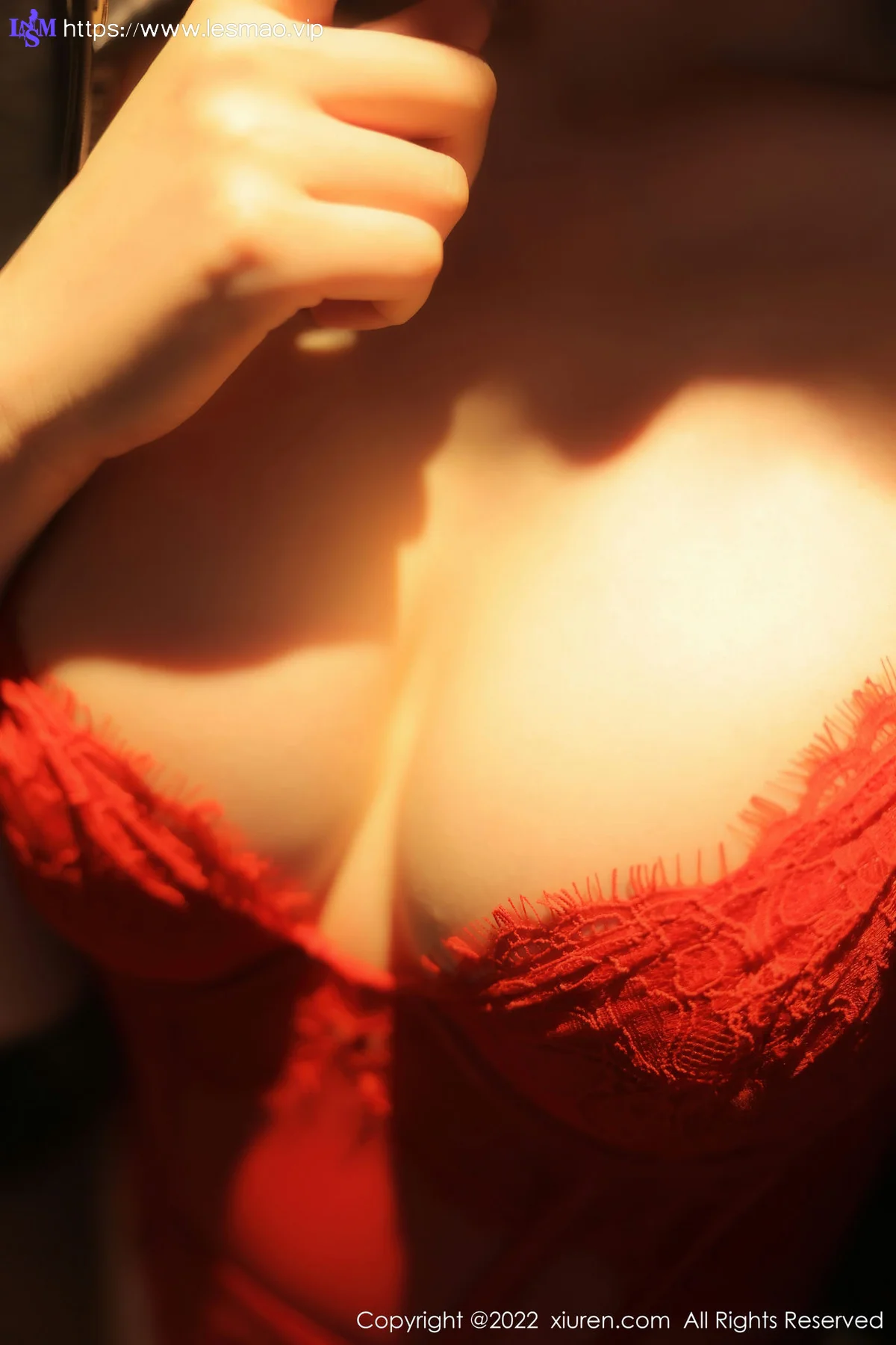 XiuRen 秀人 No.5710 顾乔楠Cora 红色蕾丝内衣性感写真22 - 6