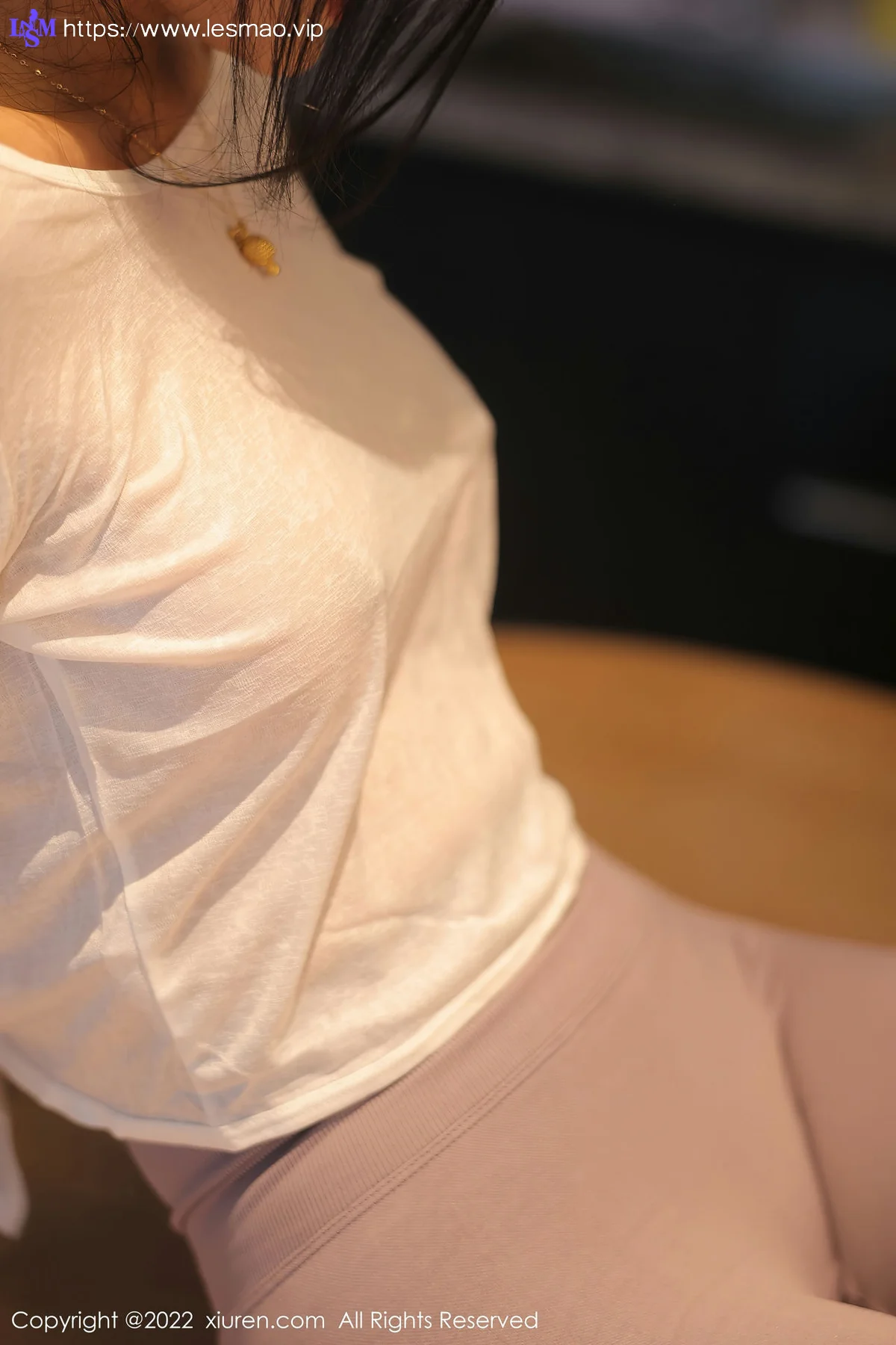 XiuRen 秀人 No.5799 苏苏阿 新人首套写真1 - 10