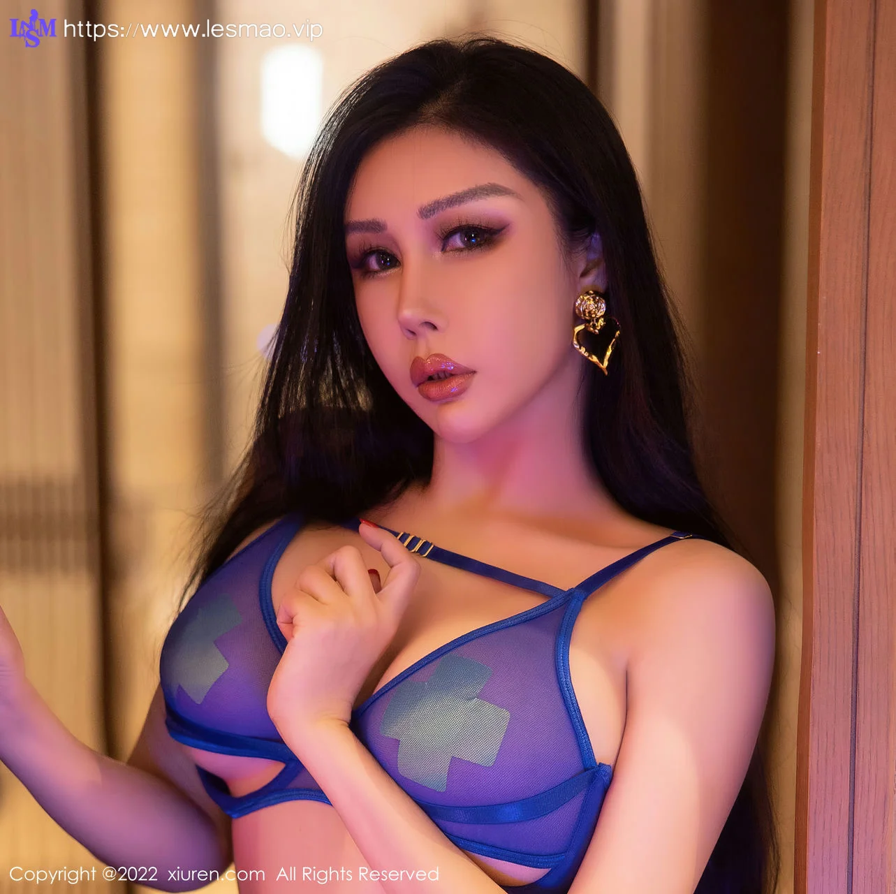 XiuRen 秀人 No.5941 田冰轻透内衣性感写真 - 5