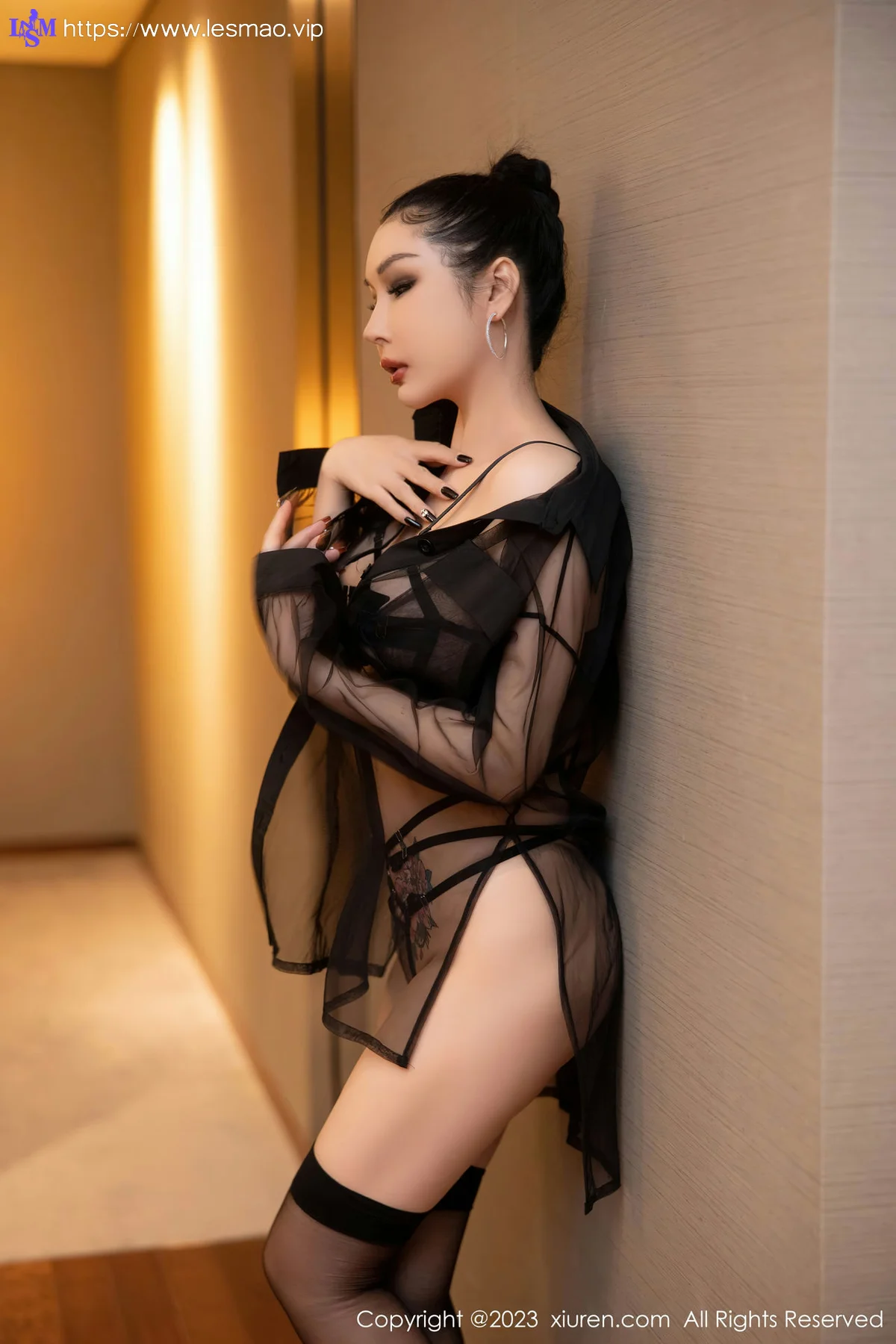 XiuRen 秀人 No.6502 田冰冰 黑色薄纱情趣写真 - 2