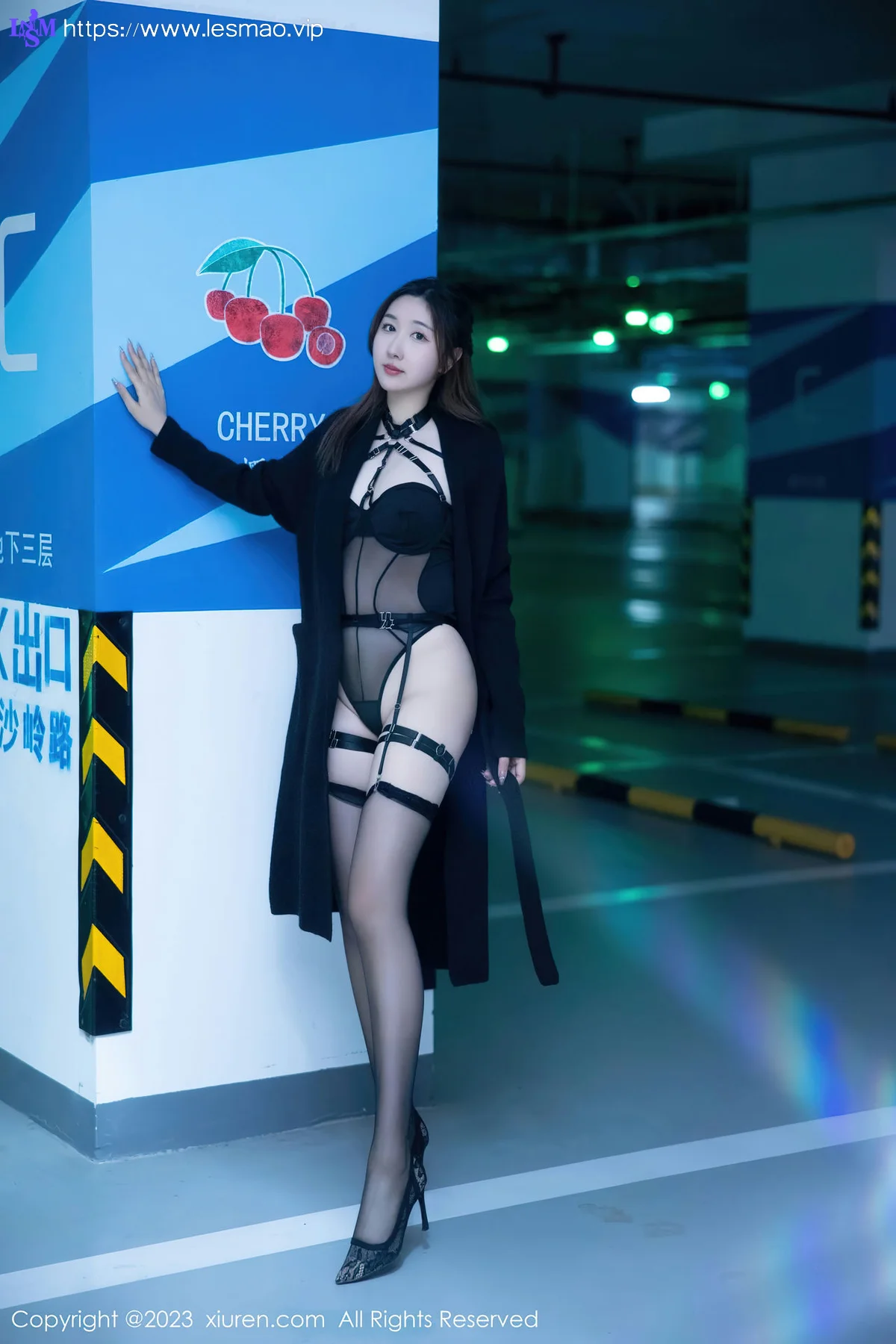 XiuRen 秀人 No.6650 江真真 魅惑黑丝性感写真3 - 6