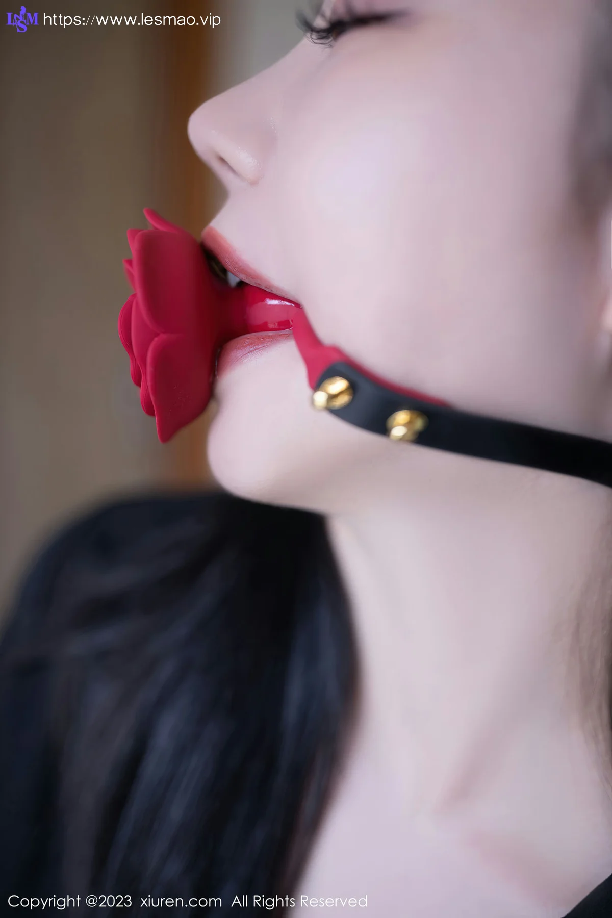XiuRen 秀人 No.6867 安然anran 魅惑黑丝性感写真222 - 3