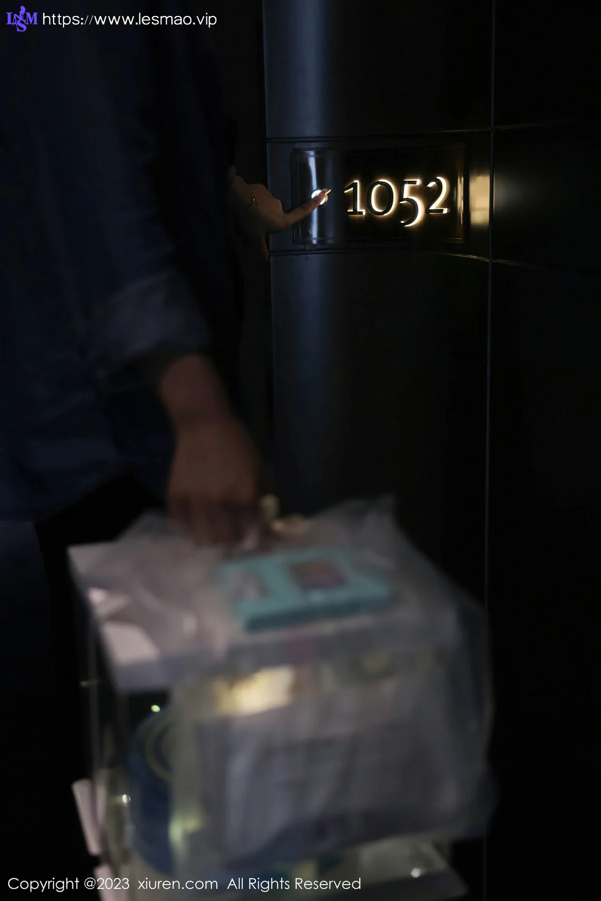 XiuRen 秀人 No.7348  幼幼 白色网纱性感写真11 - 3