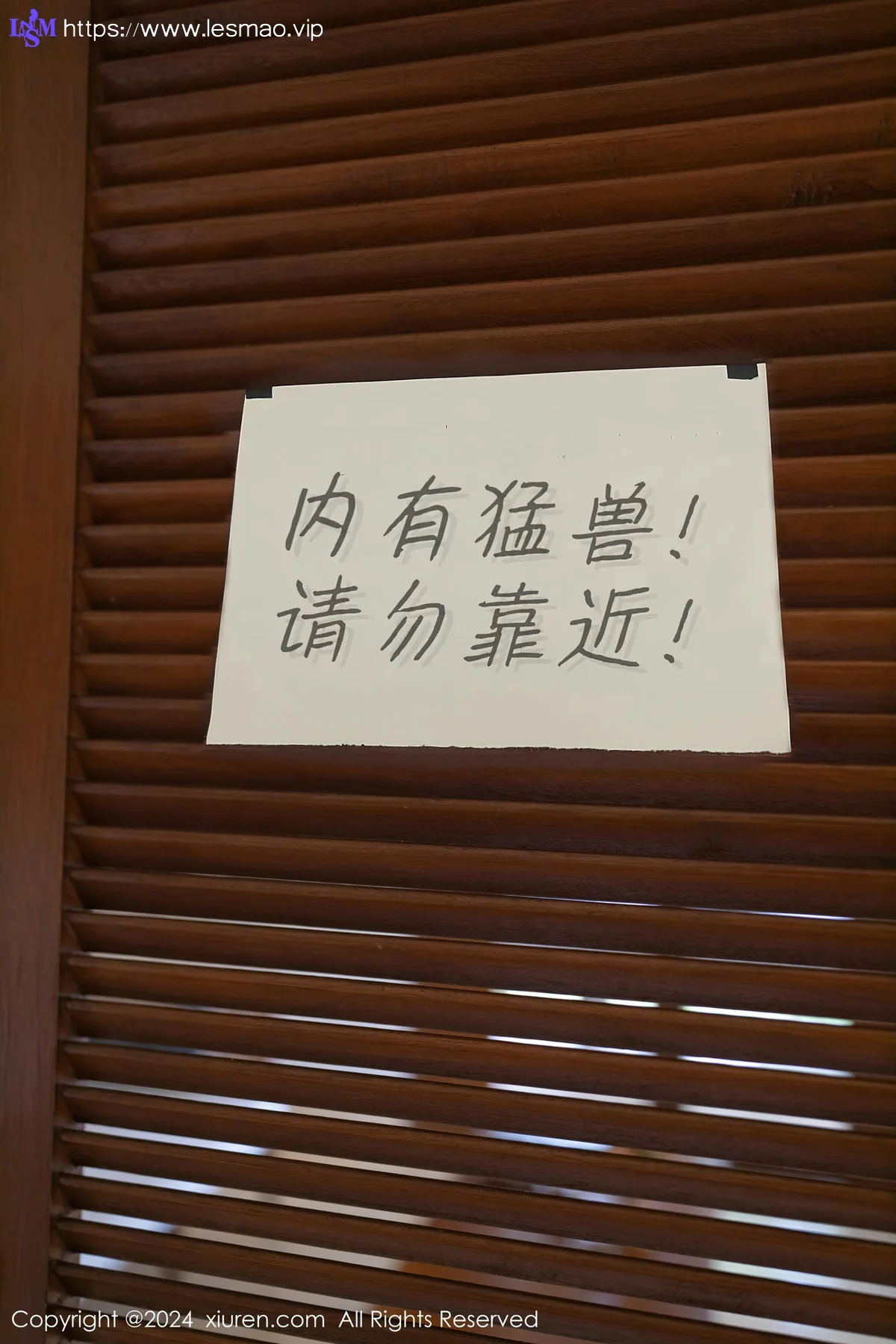 XiuRen 秀人 No.8029  幼幼 野兽装扮泰国旅拍111 - 1