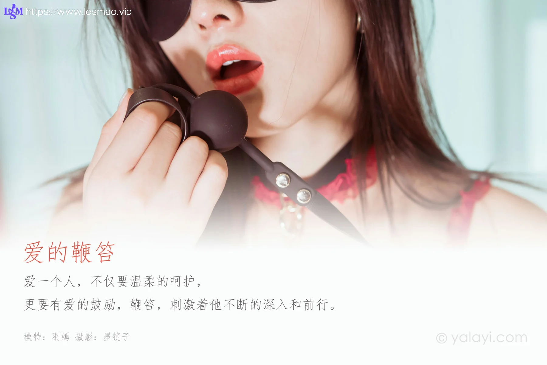 YALAYI 雅拉伊 Vol.564 爱的鞭笞 羽嫣 - 1