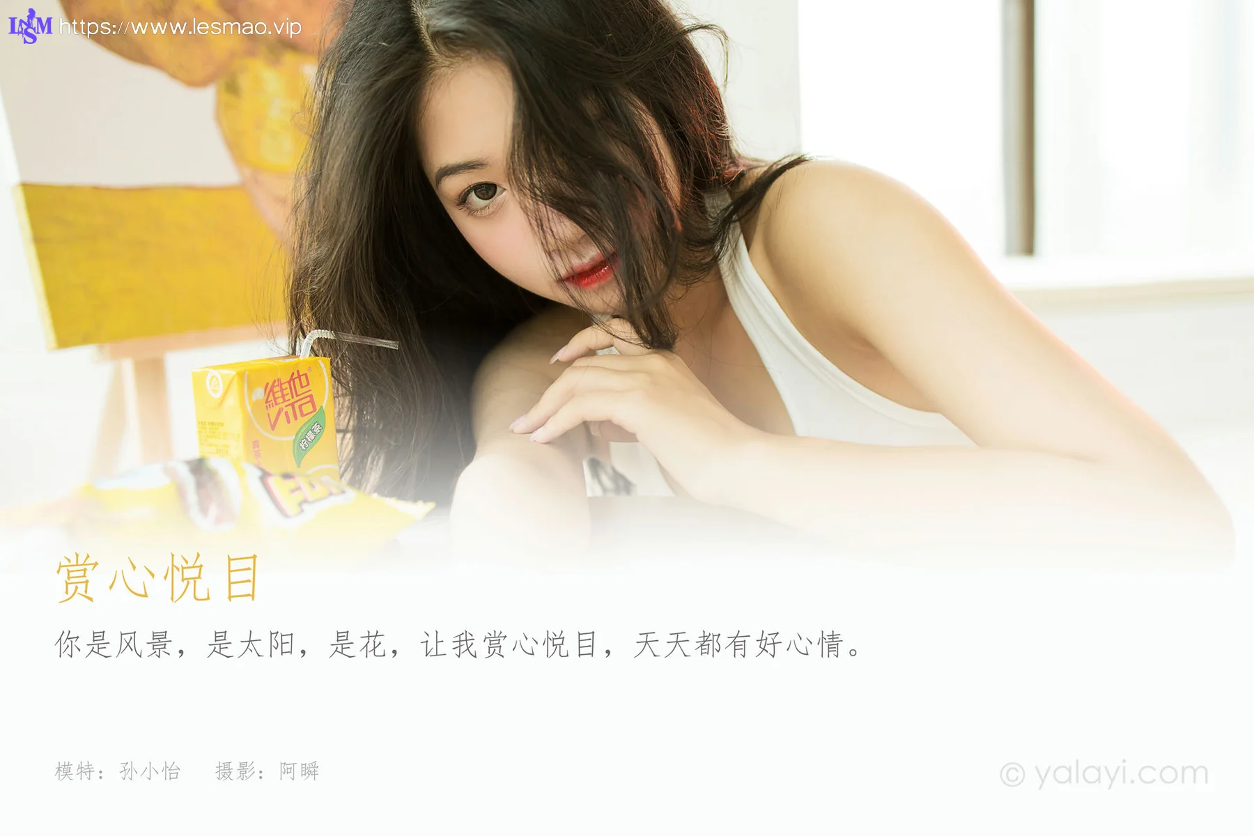 YALAYI 雅拉伊 Vol.812    孙小怡 赏心悦目 - 1