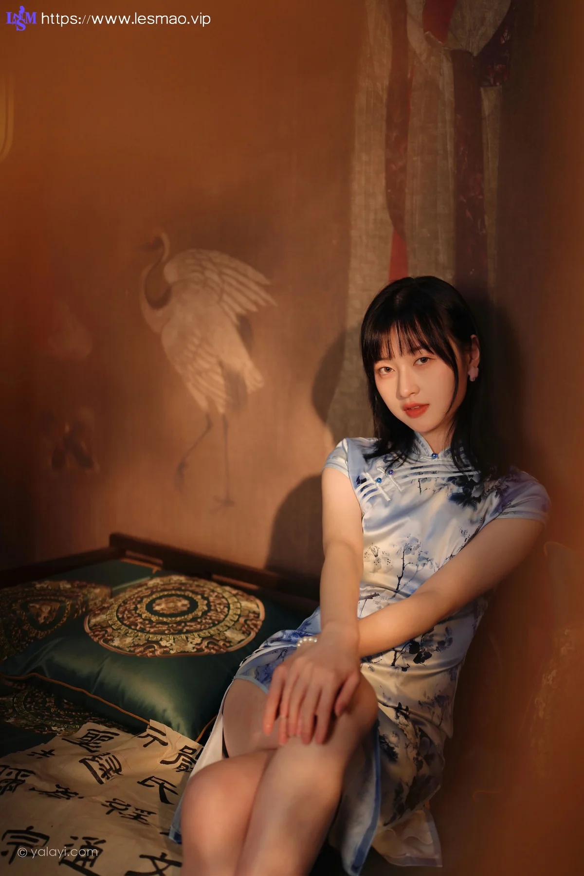 YALAYI 雅拉伊 Vol.883   京京 绝代芳华 - 9
