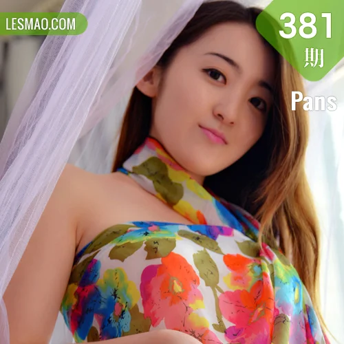 Pans 写真 No.381 紫萱
